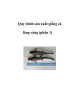 Quy trình sản xuất giống cá lăng vàng (phần 1) docx