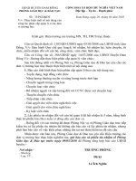 Hướng dẫn báo cáo thực hiện phân cấp quản lý