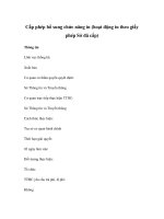 Cấp phép bổ sung chức năng in (hoạt động in theo giấy phép Sở đã cấp) pps