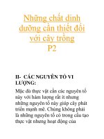 Những chất dinh dưỡng cần thiết đối với cây trồng P2 doc