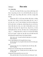nghiêng cứu thông số tính năng và đặc điểm hao mòn trước sử dụng Xado của động cơ Diezen D12, chương 4 pps