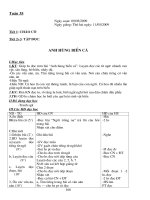 Giao an lop 1 ( Tuan 35)