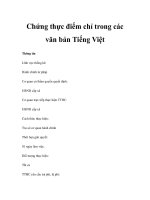 Chứng thực điểm chỉ trong các văn bản Tiếng Việt pot