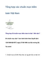 Tổng hợp các chuẩn mực kiểm toán Việt Nam pptx