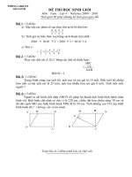 ĐỀ THI HSG TOÁN LỚP 4  (2009-2010)