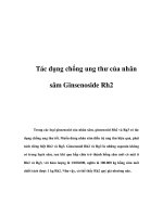 Tác dụng chống ung thư của nhân sâm Ginsenoside Rh2 ppt