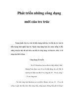 Phát triển những công dụng mới của tre trúc pptx