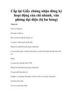 Cấp lại Giấy chứng nhận đăng ký hoạt động của chi nhánh, văn phòng đại diện (bị hư hỏng)của chi nhánh, văn phòng đại pps