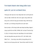 Trở thành thành viên hãng kiểm toán quốc tế ppsx