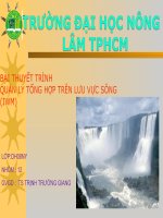 BÀI THUYẾT TRÌNH QUẢN LÝ TỔNG HỢP TRÊN LƯU VỰC SÔNG (IWM) pdf
