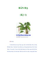 BÁN HẠ (Kỳ 1) docx