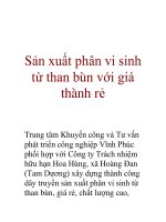 Sản xuất phân vi sinh từ than bùn với giá thành rẻ ppsx