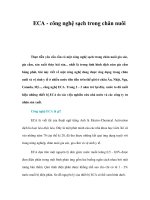 ECA - công nghệ sạch trong chăn nuôi pptx