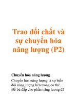 Trao đổi chất và sự chuyển hóa năng lượng (P2) pdf