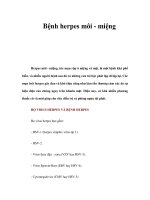 Bệnh herpes môi - miệng pps