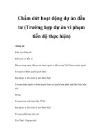 Chấm dứt hoạt động dự án đầu tư (Trường hợp dự án vi phạm tiến độ thực hiện) ppt