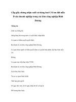 Cấp giấy chứng nhận xuất xứ hàng hoá C/O ưu đãi mẫu D của doanh nghiệp trong các khu công nghiệp Bình Dương potx