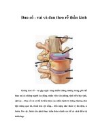 Đau cổ - vai và đau theo rễ thần kinh pptx