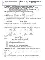 GIAO LUU HSG - KHOI 3 - DE SO 11