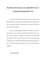 Đặc điểm sinh trưởng của cây măng Điềm Trúc và kỹ thuật trồng măng Điềm Trúc pptx