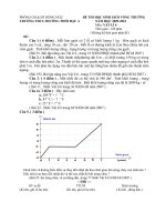 Đề thi hsg vòng trường