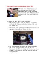 Cách ráp CPU vào Mainboard của máy vi tính
