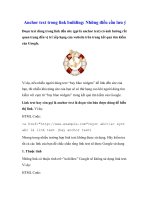 Anchor text trong link building: Những điều cần lưu ý pps