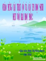 bài giảng cảnh ngày hè hay