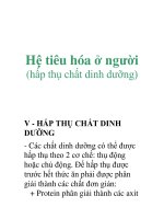 Hệ tiêu hóa ở người (hấp thụ chất dinh dưỡng) docx