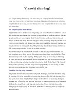 Vì sao bị sâu răng? ppsx