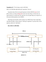 LC chiết khấu (negotiation)
