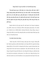 Dùng Thuốc Trong Việc Điều Trị Viêm Phế Quản Mạn ppt