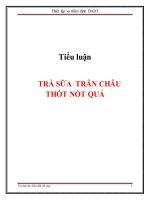 Tiểu luận thiết lập và thẩm định dự án đầu tư trà sữa trân châu thốt nốt quả