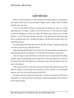 Mạng di đông GSM ppsx