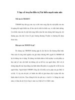 Y học cổ truyền điều trị Tai biến mạch máu não ppsx