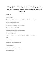 Đăng ký điều chỉnh dự án đầu tư Trường hợp: đầu tư gắn với thành lập doanh nghiệp và điều chỉnh vốn đầu tư dự án doc