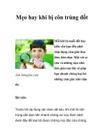 Mẹo hay khi bị côn trùng đốt ppt