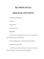 HỆ THỐNG HUYỆT - Nhóm Huyệt CHẨN ĐOÁN doc