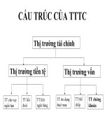 Báo cáo: cấu trúc thị trường tài chính pps