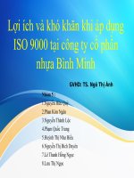 Lợi ích và khó khăn khi áp dụng ISO 9000 tại công ty cổ phần nhựa Bình Minh