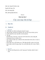 Bai: Cây con mọc lên từ hạt