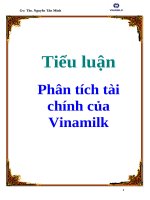 Tiểu luận: Phân tích tài chính của Vinamilk pptx