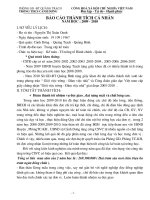 Báo cáo thành tích cá nhân CSTĐ cấp cơ sở