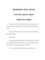 BỆNH HỌC THỰC HÀNH - CƠN ĐAU QUẶN THẬN pptx