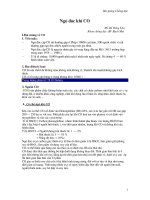 Ngộ độc khí CO potx