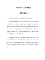 CHÂM CỨU HỌC BỆNH LÝ 1- SỰ XÂM NHẬP CỦA TÀ KHÍ VÀO KINH LẠC docx