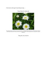 Từ khi sinh ra mỗi người là một bông hoa đẹp......