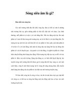 Sóng siêu âm là gì? pdf