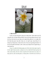Nghiên cứu các yếu tố ảnh hưởng tới sự hình thành củ từ vảy củ hoa Lily (Lilium longiflorum) bằng phương pháp nuôi cấy mô tế bào