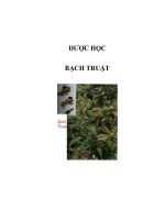 DƯỢC HỌC - BẠCH TRUẬT pps